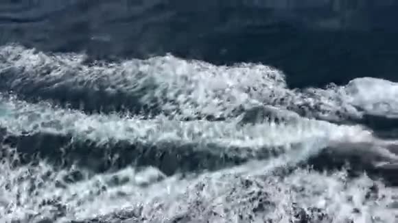 4K快艇后的海浪轨迹视频的预览图