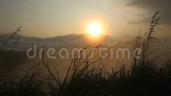 在埃拉小亚当的山顶上看雾蒙蒙的日出艾拉是一个美丽的小困镇位于斯里兰卡南部边缘视频的预览图