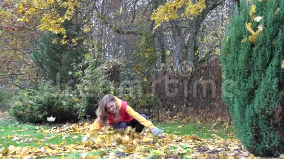 快乐的园丁女人在公园里扔五颜六色的秋叶4K视频的预览图