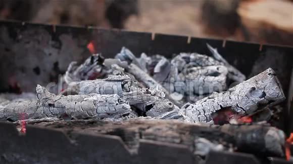 火焰燃烧烧烤中的柴火煤火用鸟鸣野餐视频的预览图
