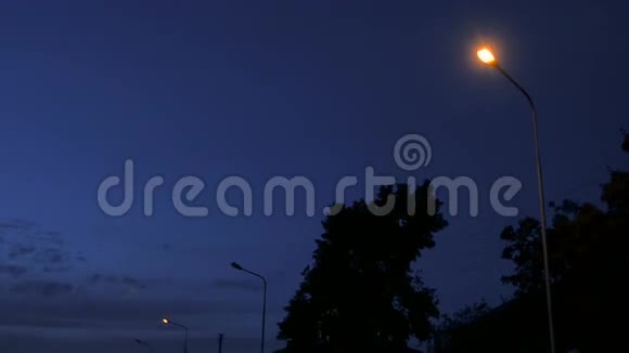 街灯映衬黄昏背景视频的预览图