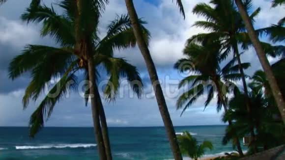 冲浪电视北海岸冲浪6棕榈海岸视频的预览图