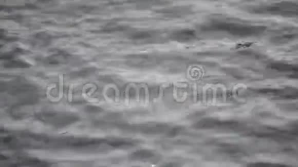 夏末雨水落在平静的河面上视频的预览图