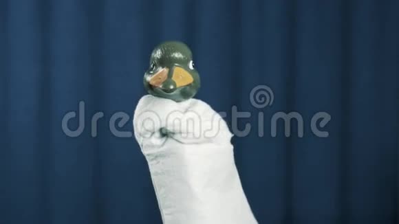 鸭手木偶站立手臂交叉上升一个蓝色背景的现场视频的预览图