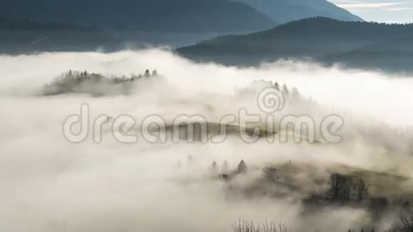 秋天的早晨雾蒙蒙的羊群从薄雾中消失视频的预览图