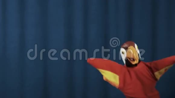鹦鹉手偶在现场奔跑在蓝色背景上挥舞手臂视频的预览图