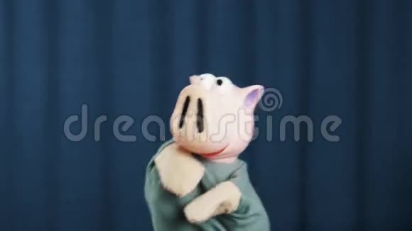 小猪手提木偶故事现场用蓝色背景摇头视频的预览图