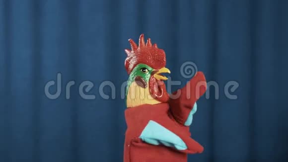 红鸡手木偶用蓝色窗帘背景摇着头视频的预览图