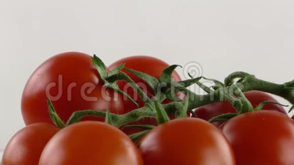 鲜食蔬菜番茄细节视频的预览图