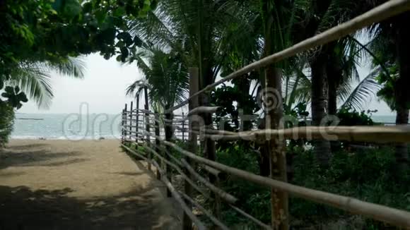 热带岛屿上的竹竿围栏白色沙滩棕榈色海岸视频的预览图