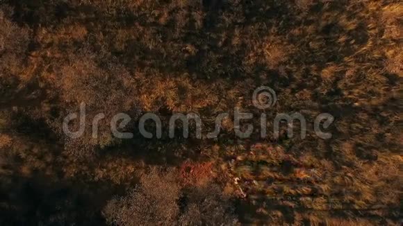 从空中俯瞰四个人穿过纳米比亚的大草原视频的预览图