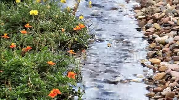 花园装饰水小溪视频的预览图