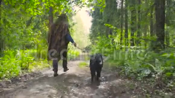 在森林里和狗一起散步的年轻女子视频的预览图