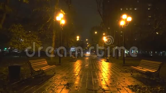 夜晚漫步在秋天的城市公园视频的预览图