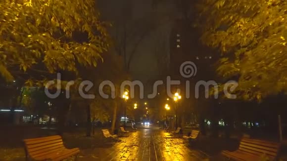夜晚漫步在秋天的城市公园视频的预览图