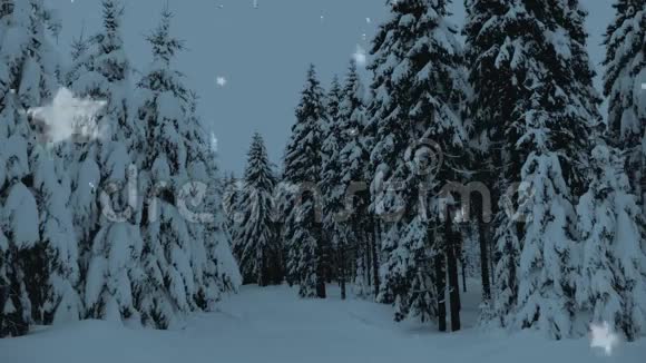 冬天的雪林里有雪覆盖的树下着雪和星星圣诞节新年慢动作动画高清1080视频的预览图