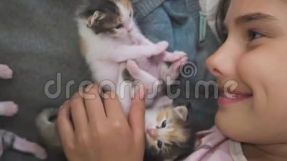 女孩和两只可爱的小猫的概念快乐的小女孩和猫在床上在家里女学生宝宝和猫爱宠物视频的预览图
