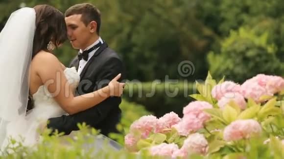 欢快的新婚拥抱在绿色的夏日公园里开着粉红色的花英俊的新郎温柔地拥抱他可爱的新娘视频的预览图