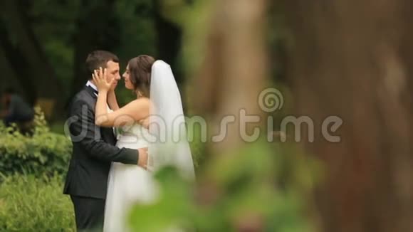 快乐的新婚夫妇拥抱并在绿色的夏季公园里亲吻爱斯基摩人英俊的新郎温柔地拥抱他可爱的视频的预览图