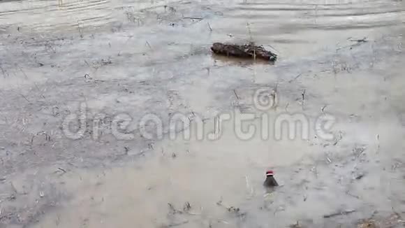 大雨后的洪水河里的垃圾视频的预览图