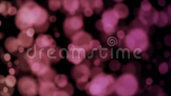 抽象背景动画粉红色的bokeh灯在黑暗的背景上移动视频的预览图