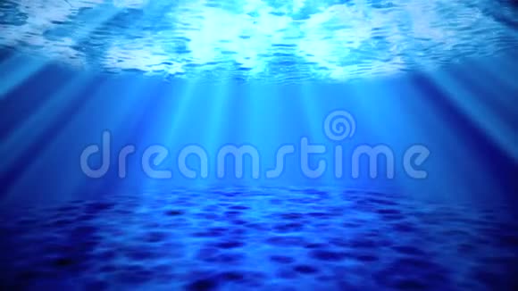 蓝海海底环境背景视频的预览图