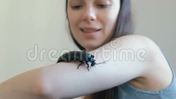 一名年轻女子手持一只雄这是马达加斯加最大的蟑螂之一视频的预览图