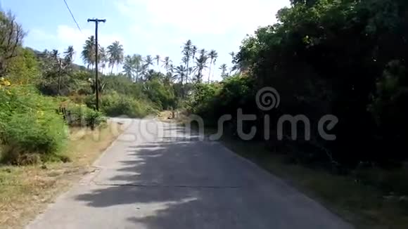 在加勒比海的一个椰子林开车视频的预览图