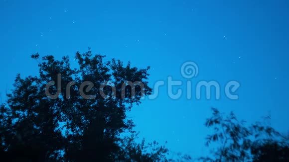夜空中的星星在树上移动时间流逝视频的预览图