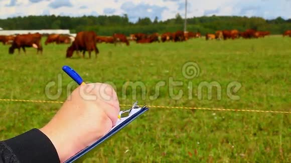 农民在奶牛附近写作视频的预览图