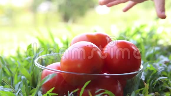 一个红色的西红柿放在透明的玻璃里视频的预览图
