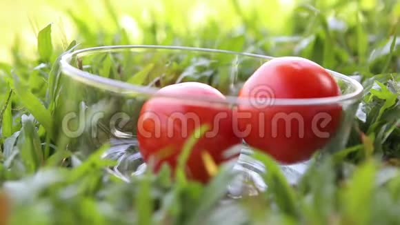 一个红色的西红柿放在透明的玻璃里视频的预览图
