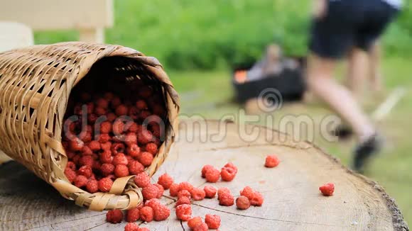 在夏天烧烤的背景下在篮子里放果莓切树烧烤烤架上做饭视频的预览图