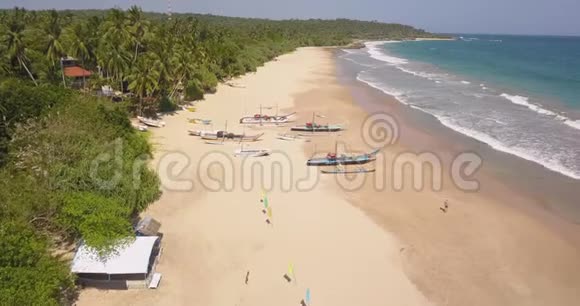 带传统渔船的海滩斯里兰卡视频的预览图