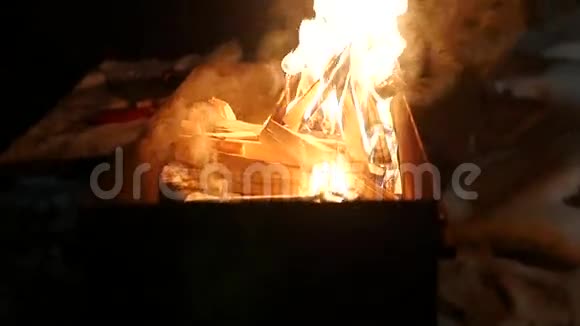 慢动作街上火盆里燃烧的木头视频的预览图