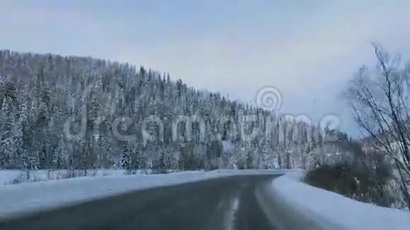 美丽的白雪覆盖的道路穿过松林高清1920x1080视频的预览图