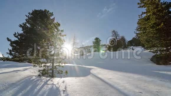 冬天树木和雪山的日落时间流逝视频的预览图