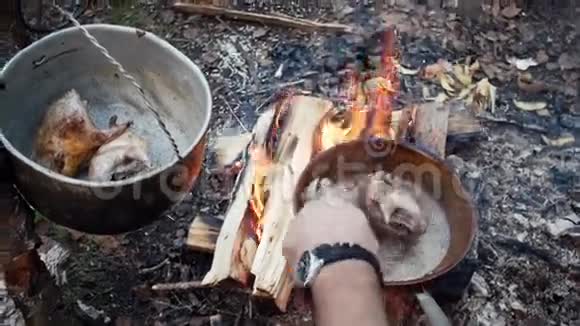 热油炸鸡户外锅煮野禽石鸡视频的预览图