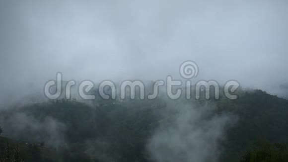 山谷山脉森林植被烟雾视频的预览图