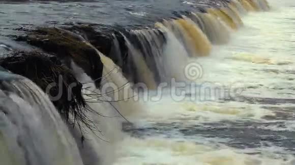 早春河中的瀑布视频的预览图