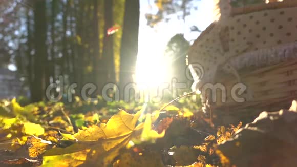 秋季落叶在阳光和野餐篮下的超级慢镜头视频的预览图