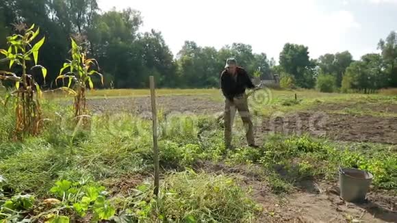 老农夫在他的花园里割草视频的预览图