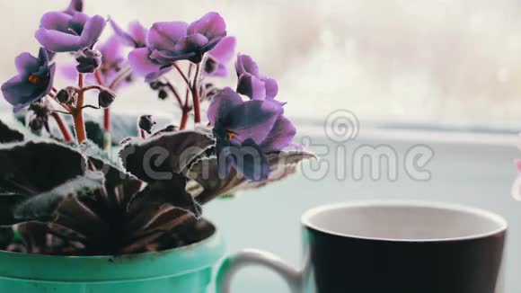 一杯热饮料蒸汽站在窗台上四周开花近景视频的预览图