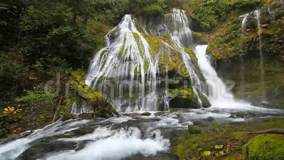 高清电影令人印象深刻的黑豹溪瀑布与下降水音频音响在华盛顿州1080p高清视频的预览图