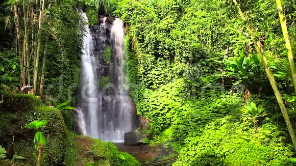 风景视频自然瀑布Munduk与干净的冷水隐藏在热带丛林岛屿巴厘岛视频的预览图
