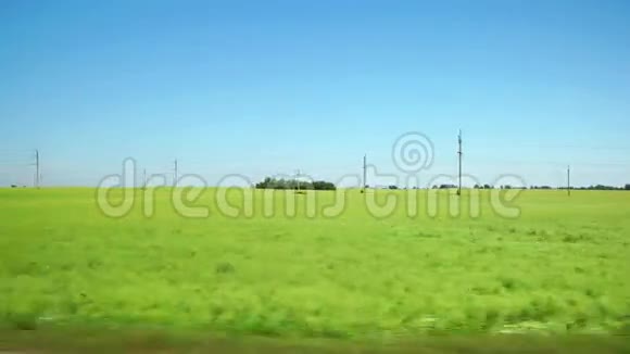 在俄罗斯阿尔泰沿着浅绿色的田野快速前进视频的预览图