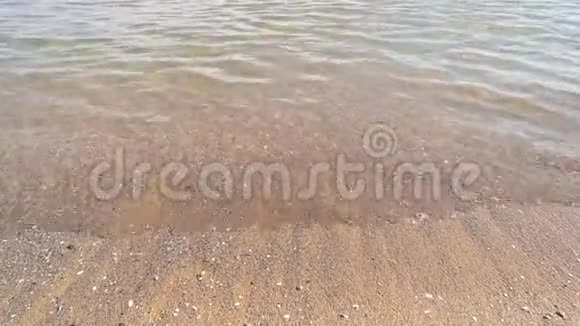 美丽的透明水靠近海边视频的预览图