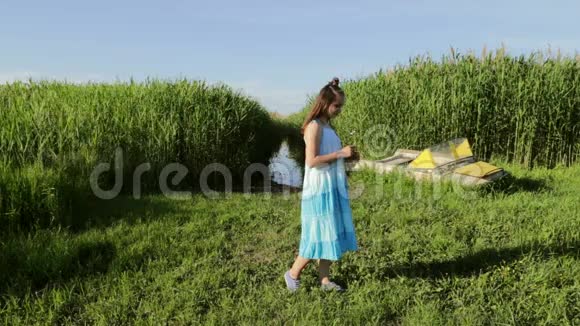 十几岁的女孩在夏天的洋甘菊上猜测视频的预览图