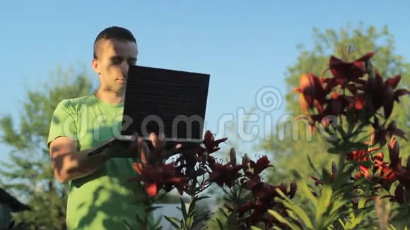 清晨一个男人在花床旁的笔记本电脑上工作视频的预览图