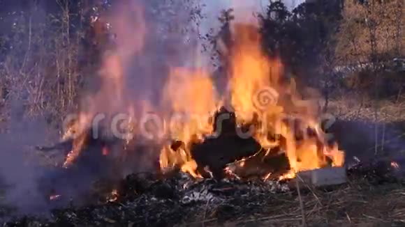 火焚烧燃烧堆垃圾视频的预览图
